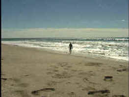 beach2.jpg (8057 bytes)