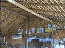 palapa3.jpg (14076 bytes)