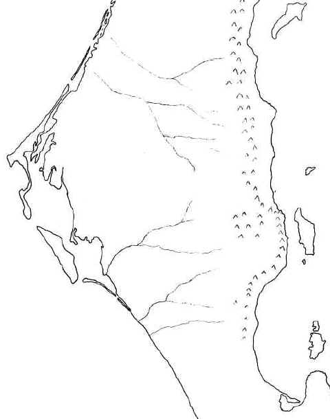 015 new.jpg (482973 bytes)
